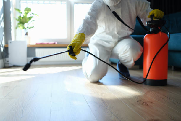 Reliable Hoarding Cleanup contractor in De Leon Springs, FL by Crime Scene Cleaner Online